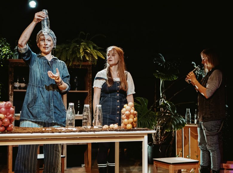 Trzy kobiety stojące wokół stołu. Na stole szklane butelki, słoje z pomidorami i jajkami. Dookoła stołu dużo roślin doniczkowych, drewniane stołki i kredens.