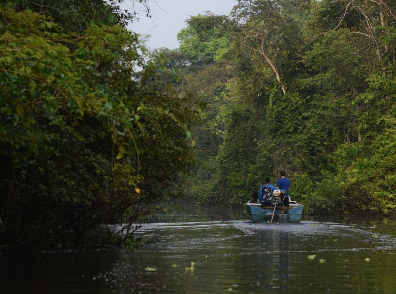 Zdjęcie z amazońskiej dżungli. Po obu stronach kadru gęsta, zielona roślinność. Środkiem płynie rzeka. Na rzece znajduje się niebieska łódka motorowa, a niej dwóch mężczyzn.
