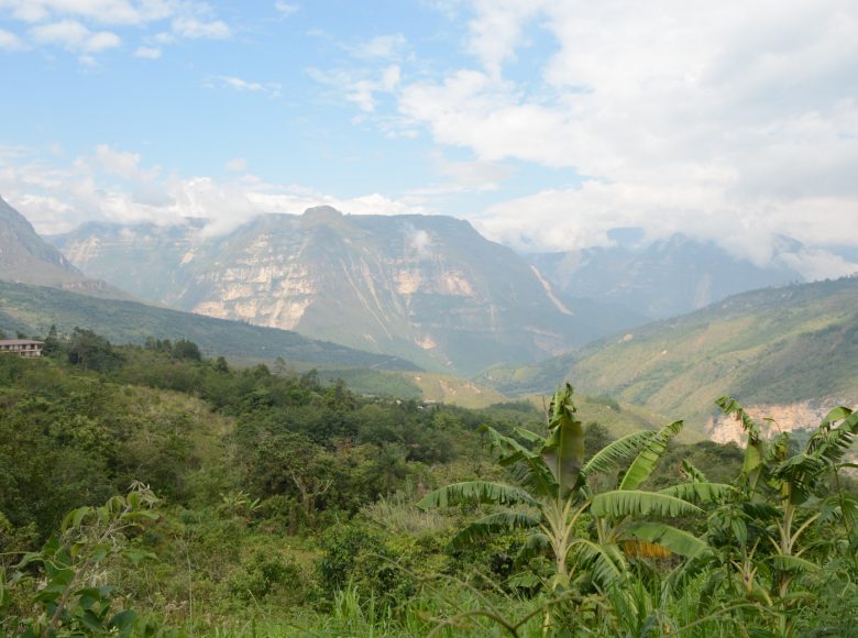 Krajobraz. Na pierwszym tle soczyście zielona, gęsta roślinność. Palmy. W drugim wzgórza o łagodnych zboczach. Na jednym z nich widać dach domu. W tle wysokie, lecz zielone góry. Nad nimi jasne niebo, nieco zakryte białymi chmurami.