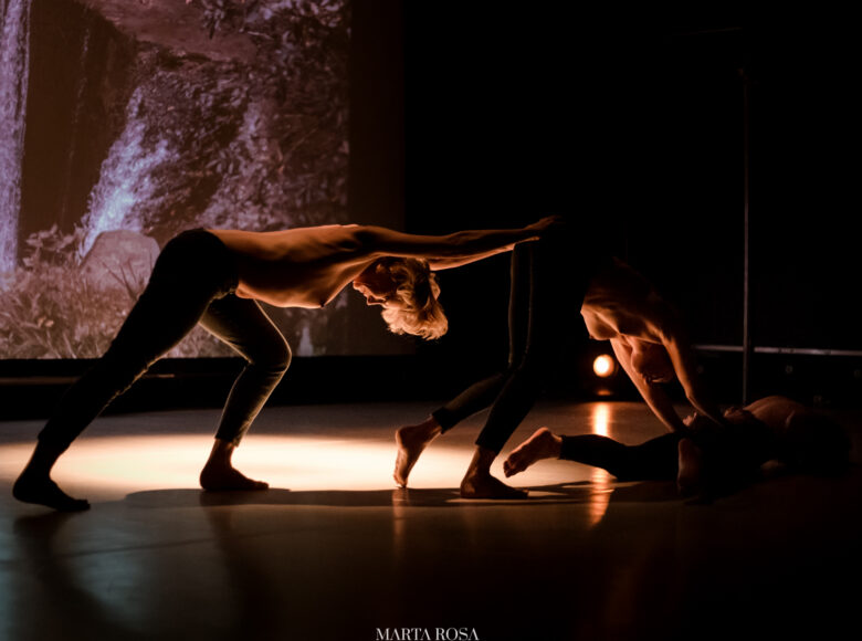 Spektakl teatralny. Punktowo oświetlone trzy kobiety w obcisłych spodniach, z nagimi torsami i boso, w dynamicznym układzie choreograficznym. Za nimi scenografia przedstawiająca nocny, roślinny krajobraz.