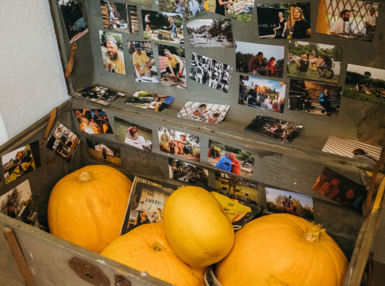 Zdjęcie. Na zbliżeniu otwarta drewniana skrzynia. W środku znajdują się dynie oraz zdjęcia dzieci.