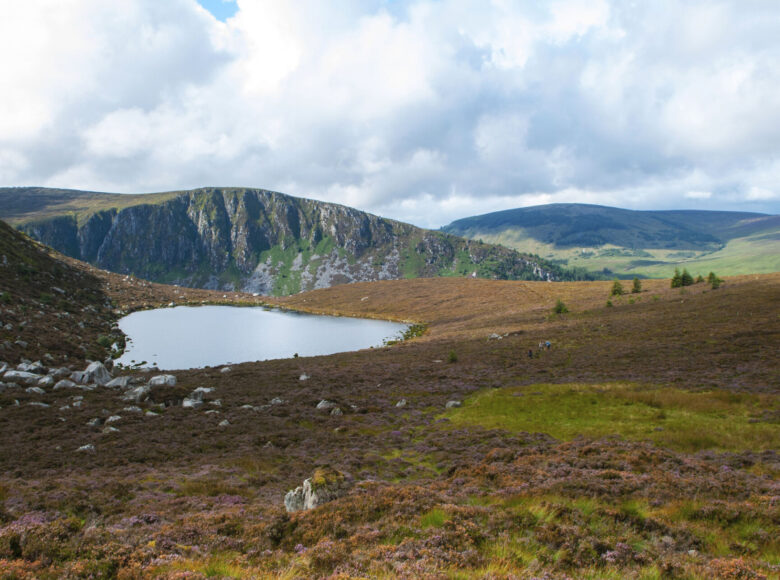 Zdjęcie krajobrazu. Otwarta przestrzeń. Na pierwszym planie niska zielona roślinność oraz wrzosy. W środku kadru, po lewej stronie nieduże jeziorko, po prawej kilka niewysokich drzew. W tle wyższe wzgórza, częściowo skalne, częściowo porośnięta. Lekko zachmurzone niebo.