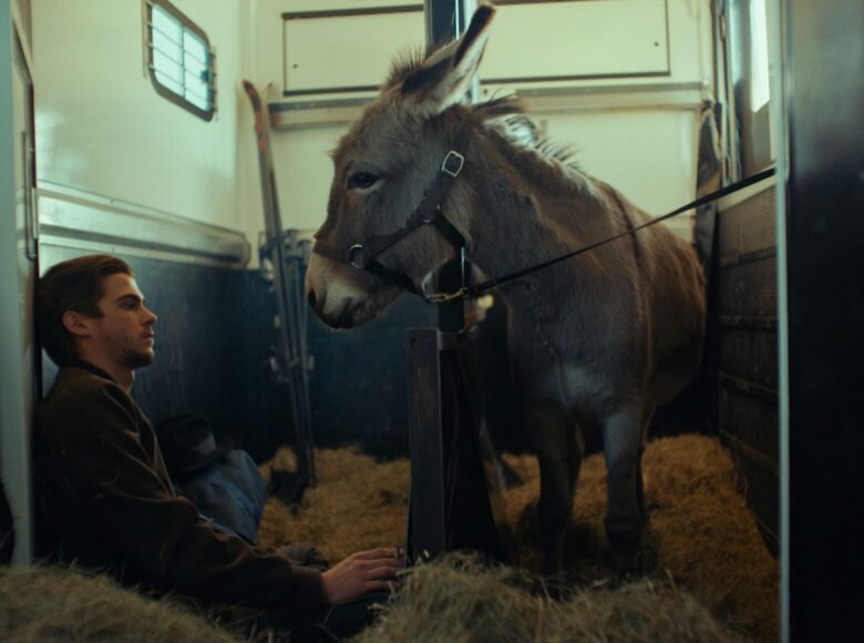 Kadr z filmu. Młody mężczyzna siedzi obok osiołka, znajdują się w przyczepce do przewodu zwierzęcia. Na podłodze duże ilości siana.