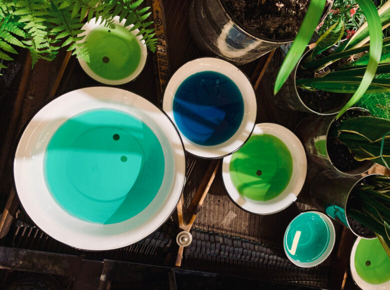 Ujęcie z góry. Zdjęcie przedstawia kilka emaliowanych misek, różnej wielkości, w których jest niebieski i zielony płyn. Za miskami stoją metalowe doniczki z zielonymi roślinami.