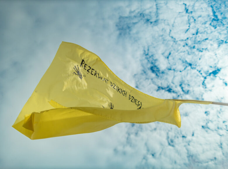 Zdjęcie przedstawia powiewająca flagę na tle nieba z białymi obłokami chmur. Na żółtym materiale znajduje się odręczny napis: Rezerwat Dzikich Dzieci oraz odciśnięta w czarnej farbie dłoń.