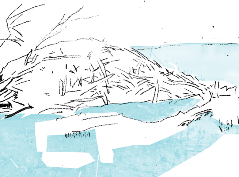 Rysunek przedstawiający rzekę i nadbrzeżne rośliny.