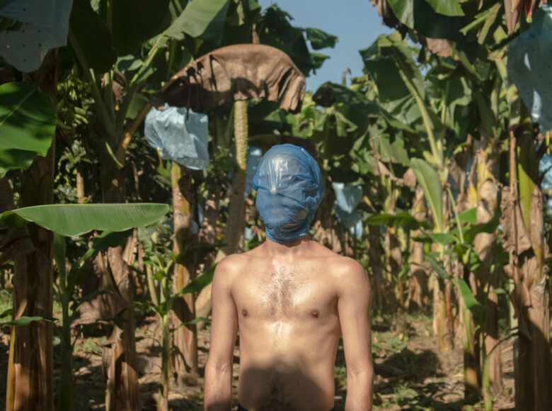 Zdjęcie przedstawia plantacje palm. Między roślinami stoi młoda osoba, na głowie ma niebieski morek na śmieci.