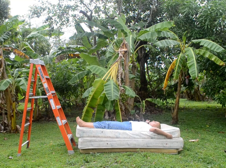 Zdjęcie przedstawia ogród, w którym rosną palmy. Na środku stoi pomarańczowa drabina. Na trawie leży biały materac, na którym leży młody chłopak.