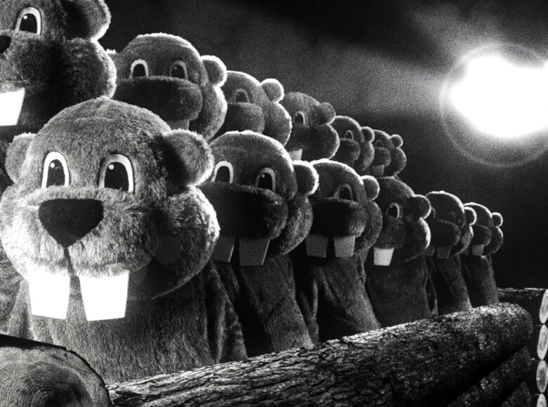 Kadr z czarno-białego filmu. 12 maskotek bobrów siedzących w dwóch szeregach. Bobry mają wielkie zęby, duże oczy, wszystkie są zwrócone twarzami w naszym kierunku.