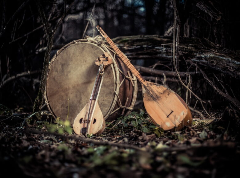Kolorowa, ale ciemna fotografia przedstawia jasnobrązowe, stare instrumenty w lesie.