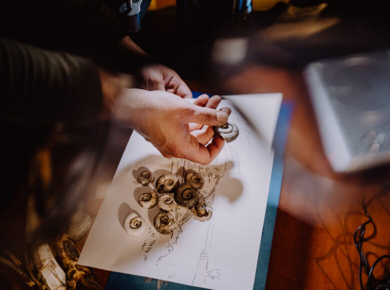Zbliżenie na dłoń trzymającą skorupę ślimaka. Pod dłonią rozłożona biała kartka papieru z rysunkami czarnym atramentem, na których leżą kolejne skorupy.