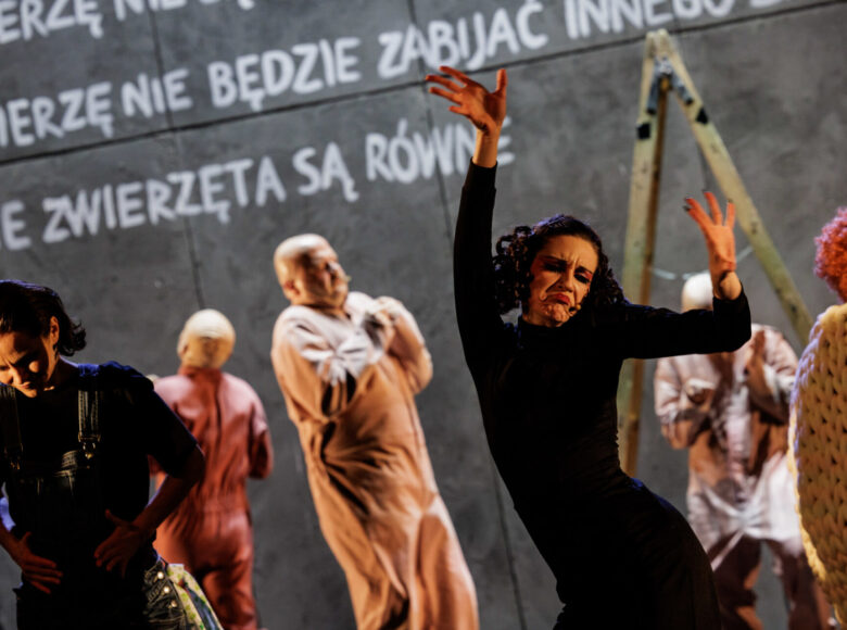 Scena grupowa. Na pierwszym planie dwie kobiety ubrane na czarno, wydają się tańczyć, jedna z nich ma uniesione nad głową ręce. W tle trzech łysych mężczyzn, rozstawiona drabina. Na horyzoncie szara ściana z wyświetlonymi napisami „zwięrzę nie będzie zabijać innego”, „wszystkie zwierzęta są równe”.