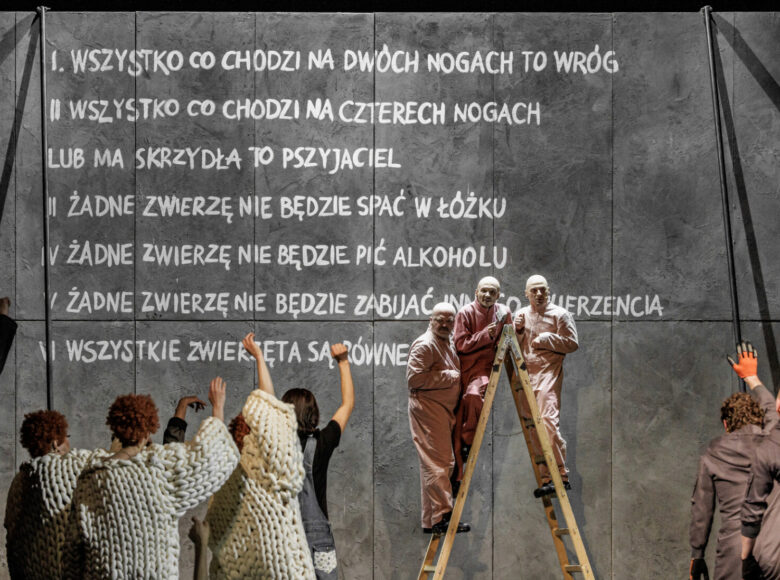 – Scena grupowa. Po lewej stronie, odwrócone tyłem do kadru 3 osoby w swetrach z białej wełny oversize, robionych na drutach, z jedną ręką uniesioną nad głowę, jak podczas głosowania. Centralnie w kadrze rozstawiona drabina, na której przodem do kadru stoi 3 łysych mężczyzn w różowych kobinezonach. Po prawej stronie, odwrócona tyłem, grupa osób ubranych w szare kombinezony. W tle szara ściana z wyświetlonymi napisami – „wszystko co chodzi na dwóch nogach to wróg”, „Wszystko, co chodzi na czterech nogach lub ma skrzydła do pszyjaciel”.