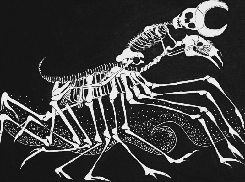 Kadr czarno biały z filmu animowanego. Ludzki szkielet jedzie na szkielecie fantastycznego zwierzęcia z wieloma parami nóg. W tle czarne niebo i zarys morskich fal.