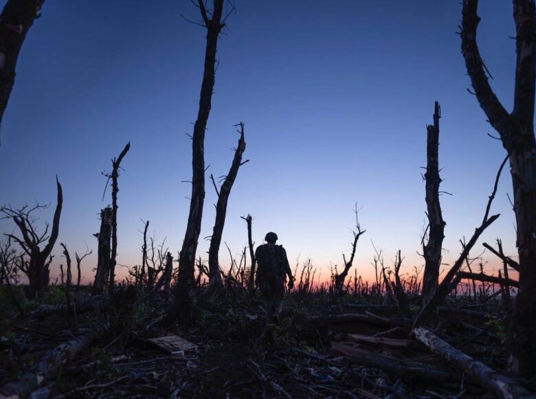 Kadr z filmu. Na tle zachodzącego słońca stoi żołnierz. Dookoła niego sterczą kikuty spalonych lub połamanych drzew.