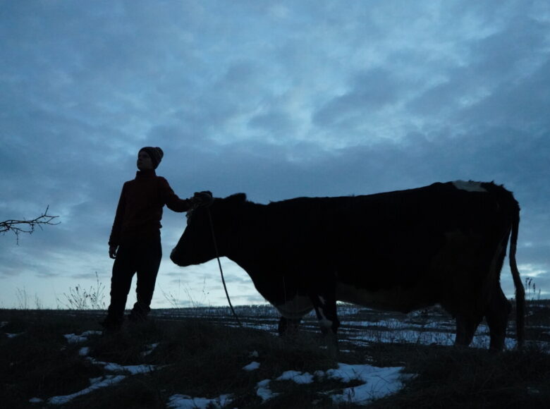 Kadr z filmu. Chłopiec z krową stoi na tle wieczornego nieba, na łące pokrytej śniegiem.