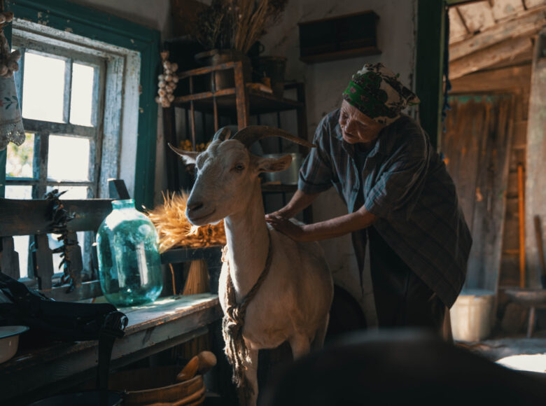 Kadr z filmu. We wnętrzu starej, wiejskiej chaty stoi stara kobieta w wiejskim stroju i chustce na głowie. kobieta głaszcze kozę stojącą obok.
