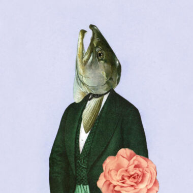 Grafika wykonana techniką kolażu. Na środku jasnego, szarego tła umieszczona postać mężczyzny w zielonej kamizelce i zielonej marynarce. Mężczyzna zamiast głowy ludzkiej ma głowę rybią. Na sylwetkę mężczyzny naklejony jest obrazek przedstawiający kwiat róży ponadnaturalnej wielkości.