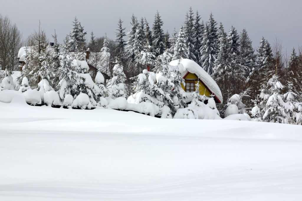 Kolorowa fotografia przedstawia zatopione w leśnym, przykrytym czapami śniegu pejzażu fragmenty wiejskich chat, również przykrytych wielkimi czapami śniegu.