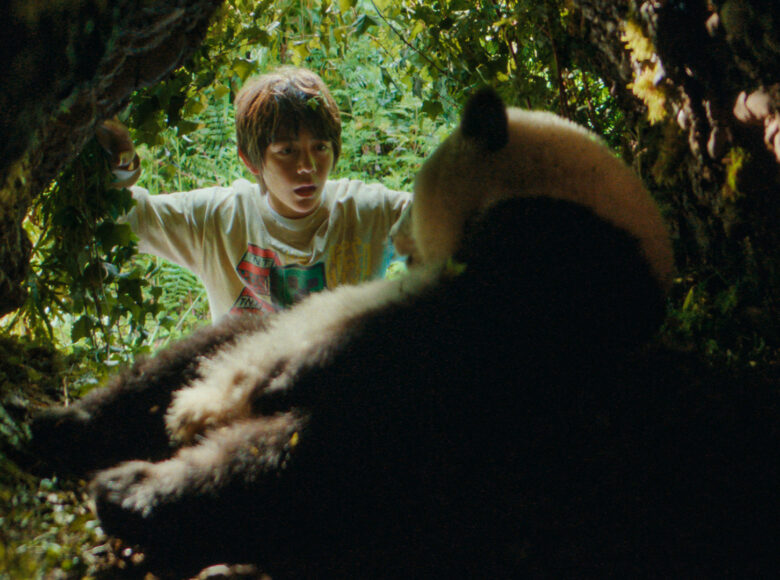 Las. Na pierwszym planie tyłem do widza leży niedźwiedź panda. Na drugim planie widzimy chłopca, który podchodzi do pandy przyglądając mu się.