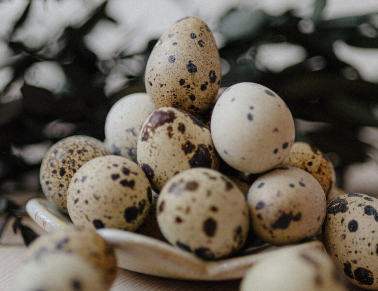 Zbliżenie na stos jajek ułożony na talerzu. Są to jajka przepiórki - białe z ciemnymi, nieregularnymi plamkami. W tle rozmazane, niedookreślone czarno-białe plamy.