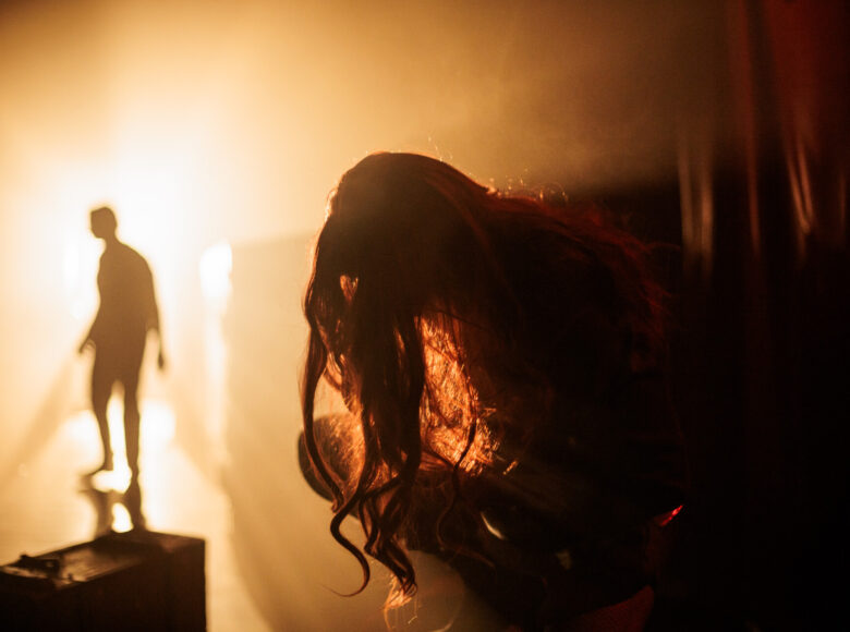 Na pierwszym planie w niedookreślonej przestrzeni w półmroku siedzi dziewczyna z twarzą zasłoniętą długimi włosami. W tle, na dalszym planie korytarz oświetlony bardzo silnym światłem. W korytarzu stoi mężczyzna.