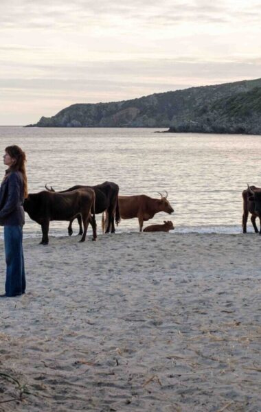 Zmierzch dnia. Na plaży na brzegu zatoki kobieta, mężczyzna i kilka krów. Kobieta stoi bokiem do nas. Mężczyzna siedzi na kamieniu tyłem do nas, przodem do zatoki. Krowy stoją spokojnie.